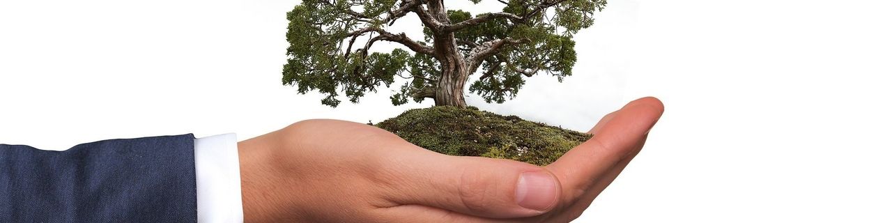 17 Awesome Resources for Staying Eco Friendly at Work