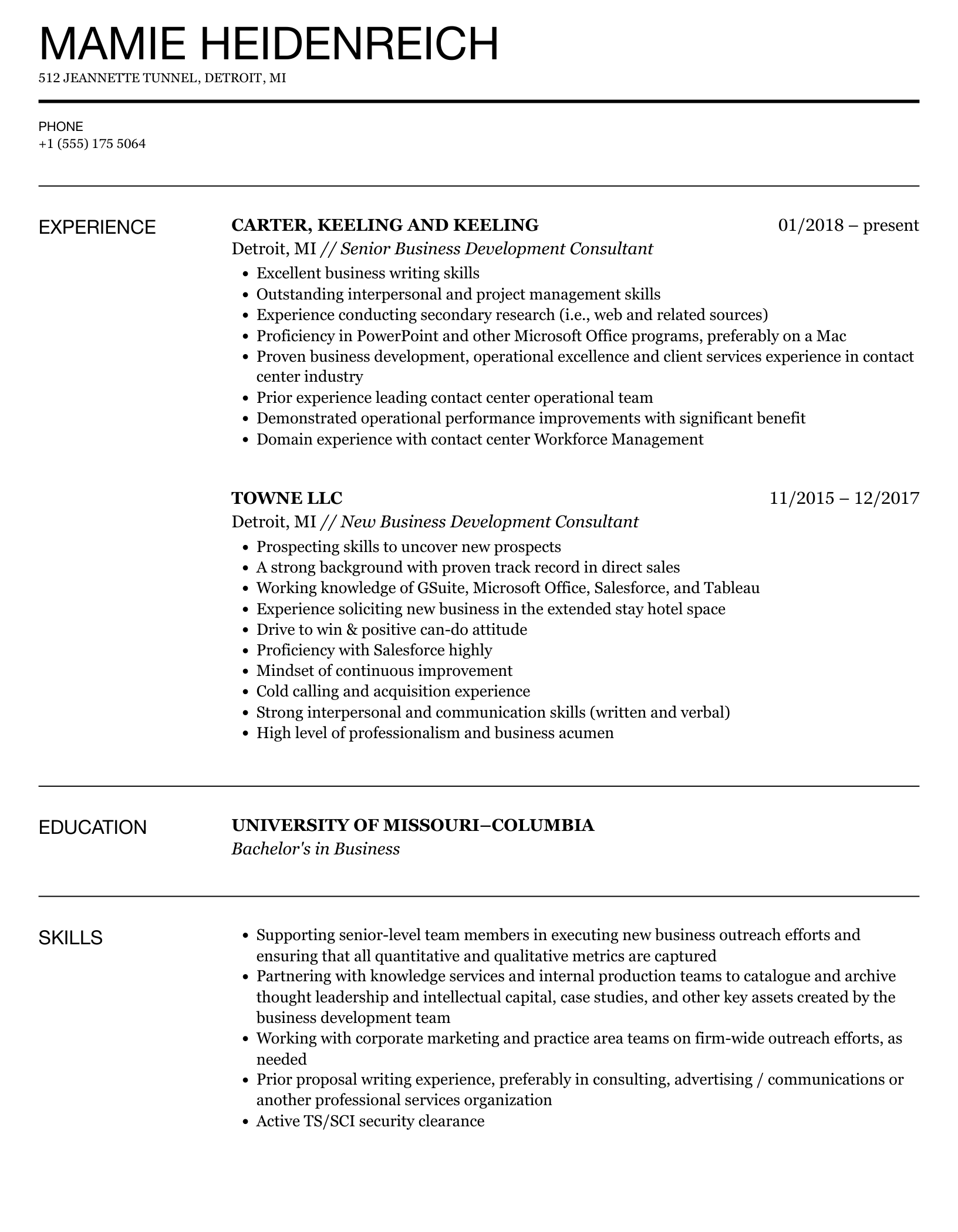 Business Development Consultant Resume Sample