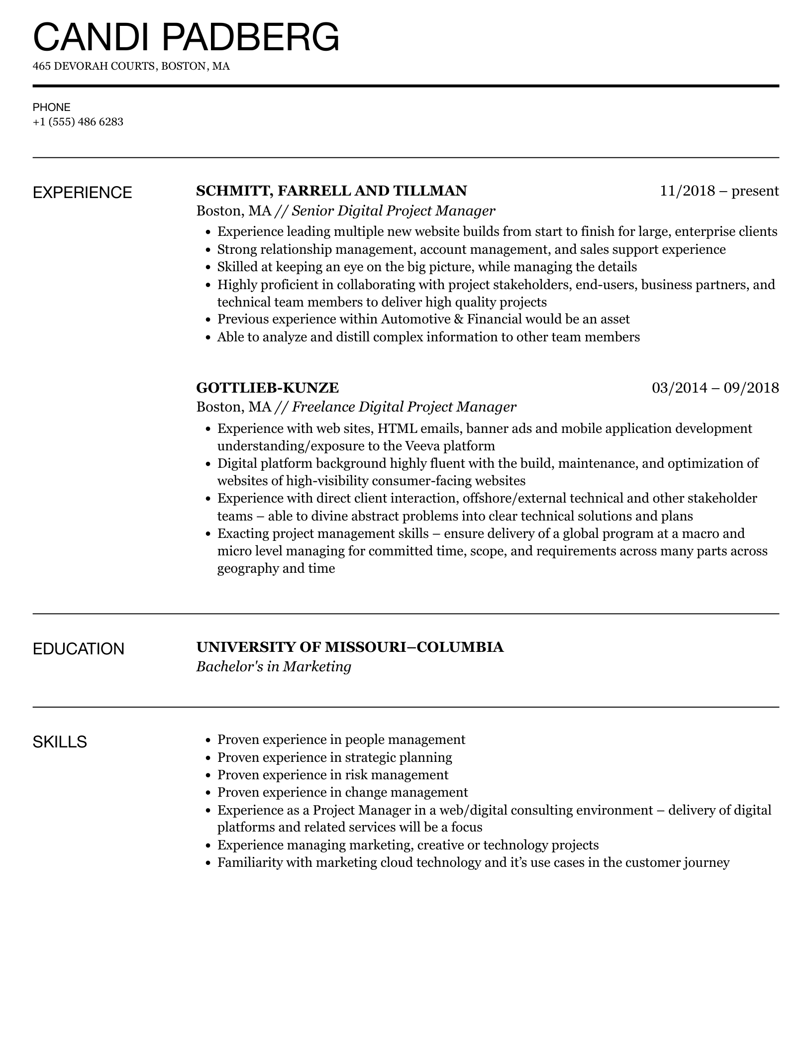 Digital Project Manager Resume Sample