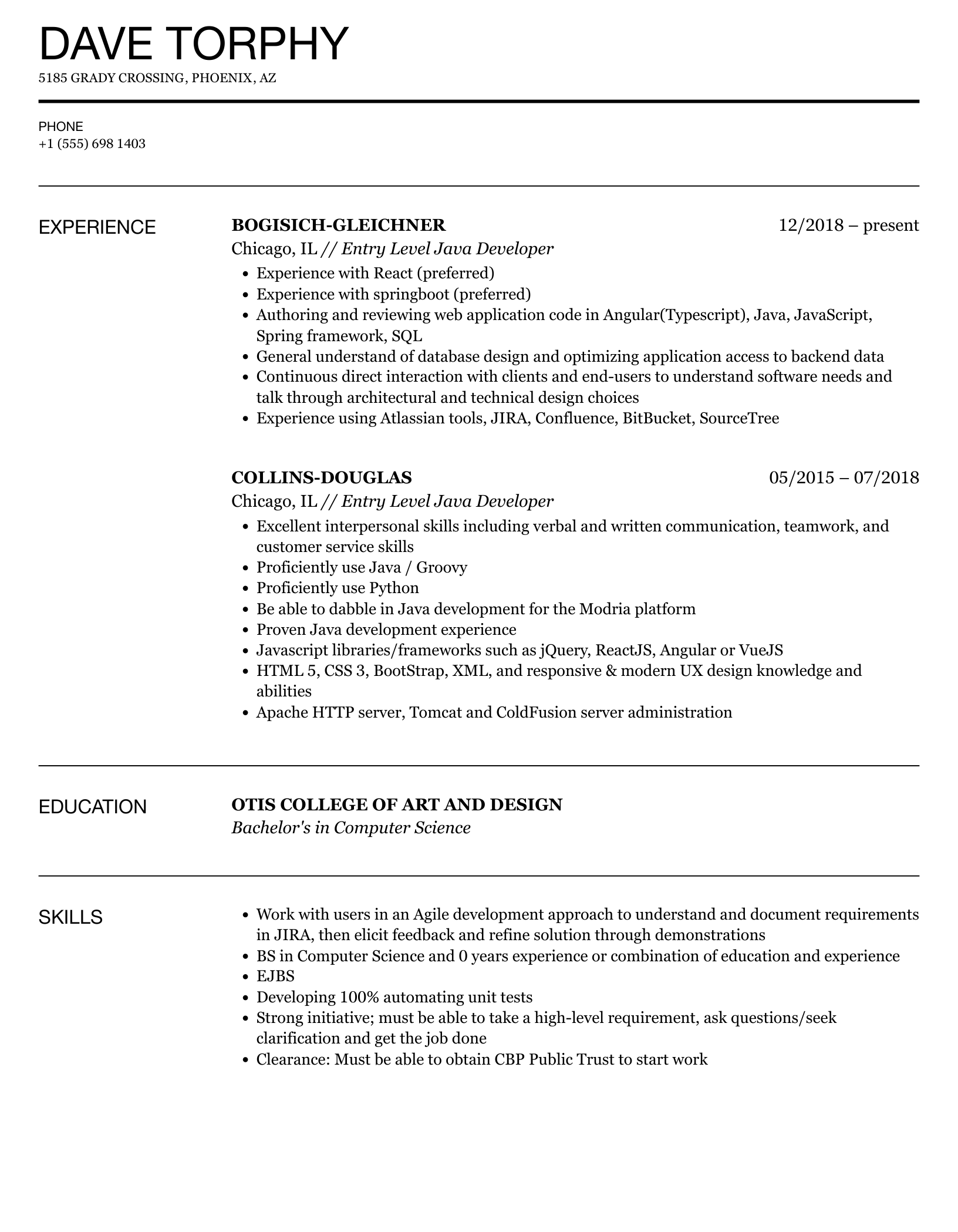 Entry Level Java Developer Resume Sample