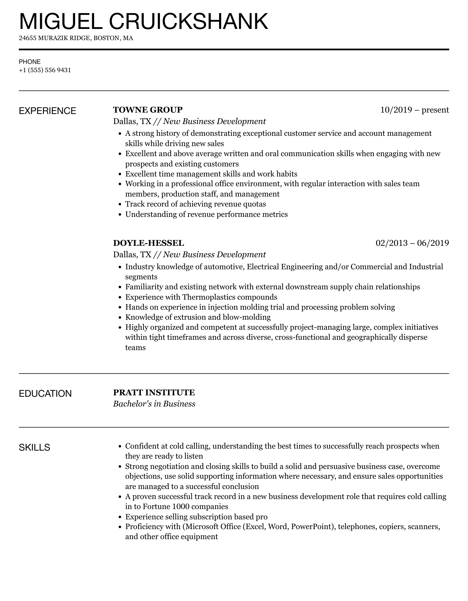 New Business Development Resume Sample