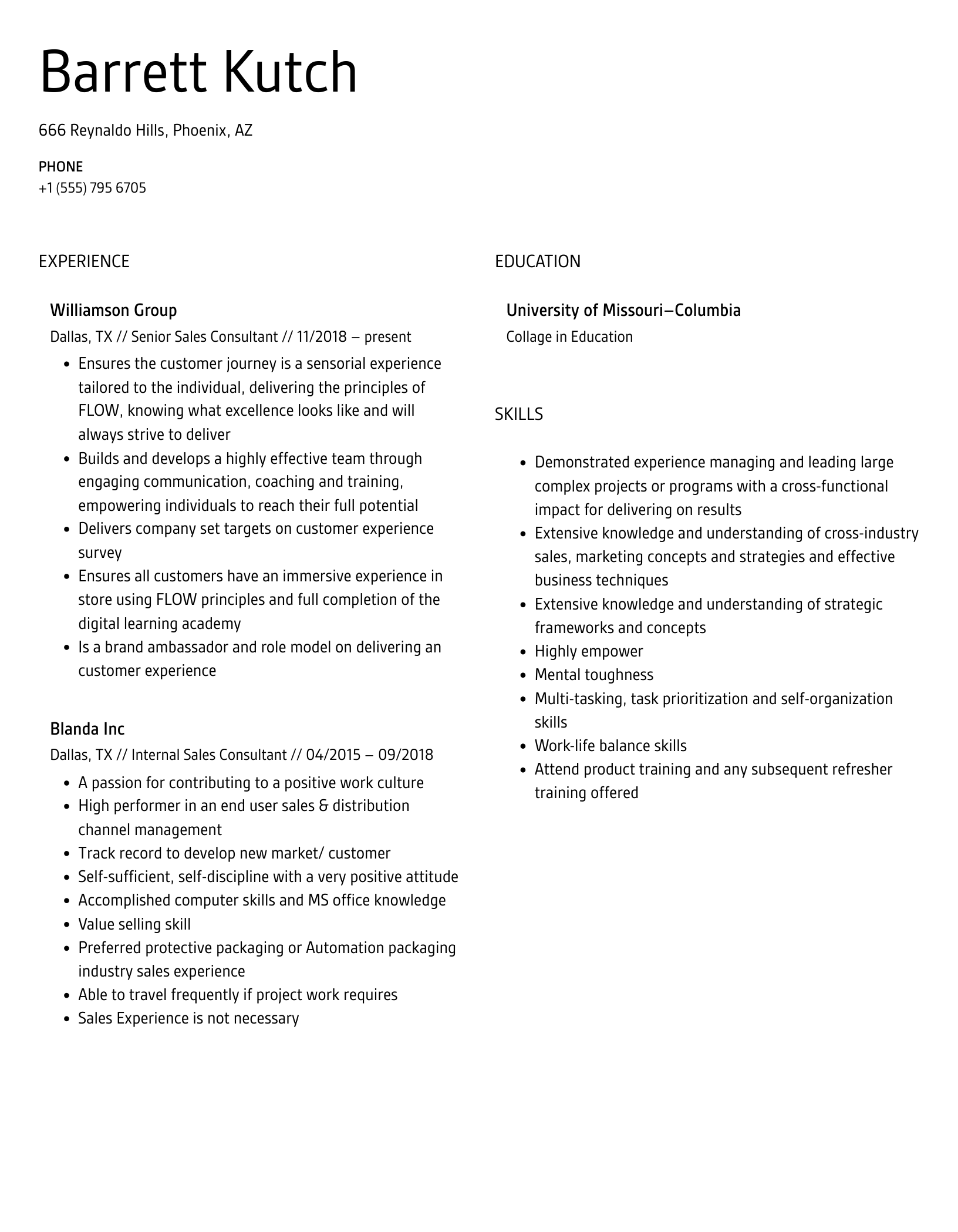 Sales Consultant Resume Samples Velvet Jobs