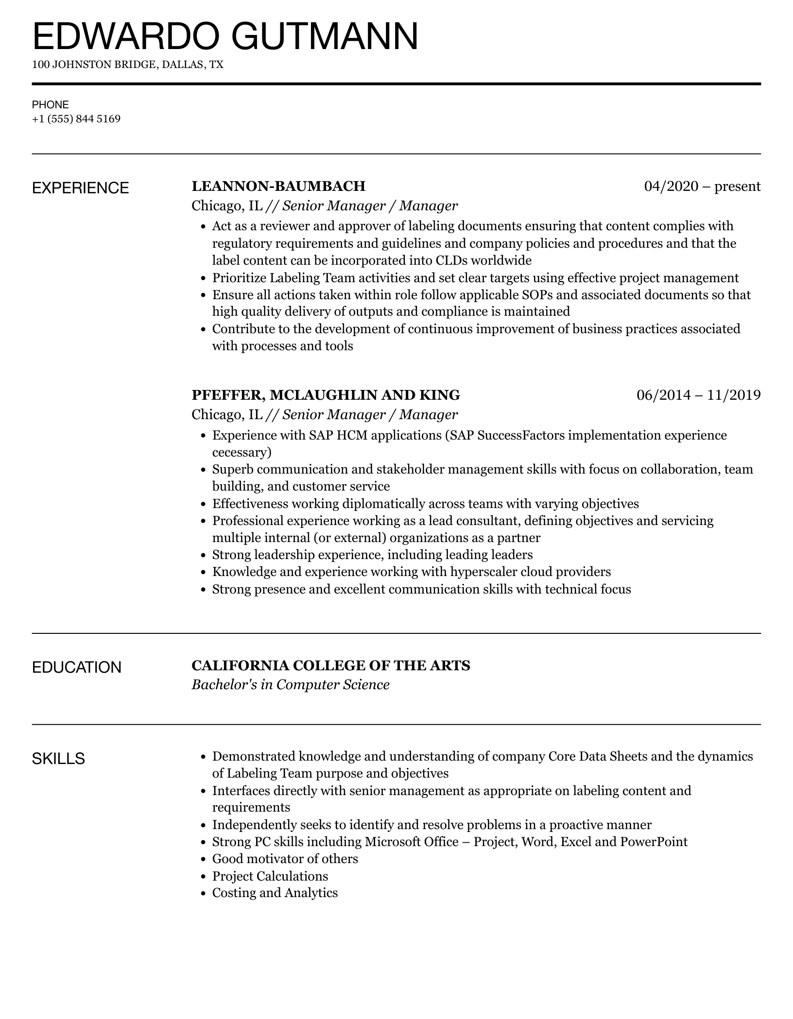 Senior It Manager Resume Sample
