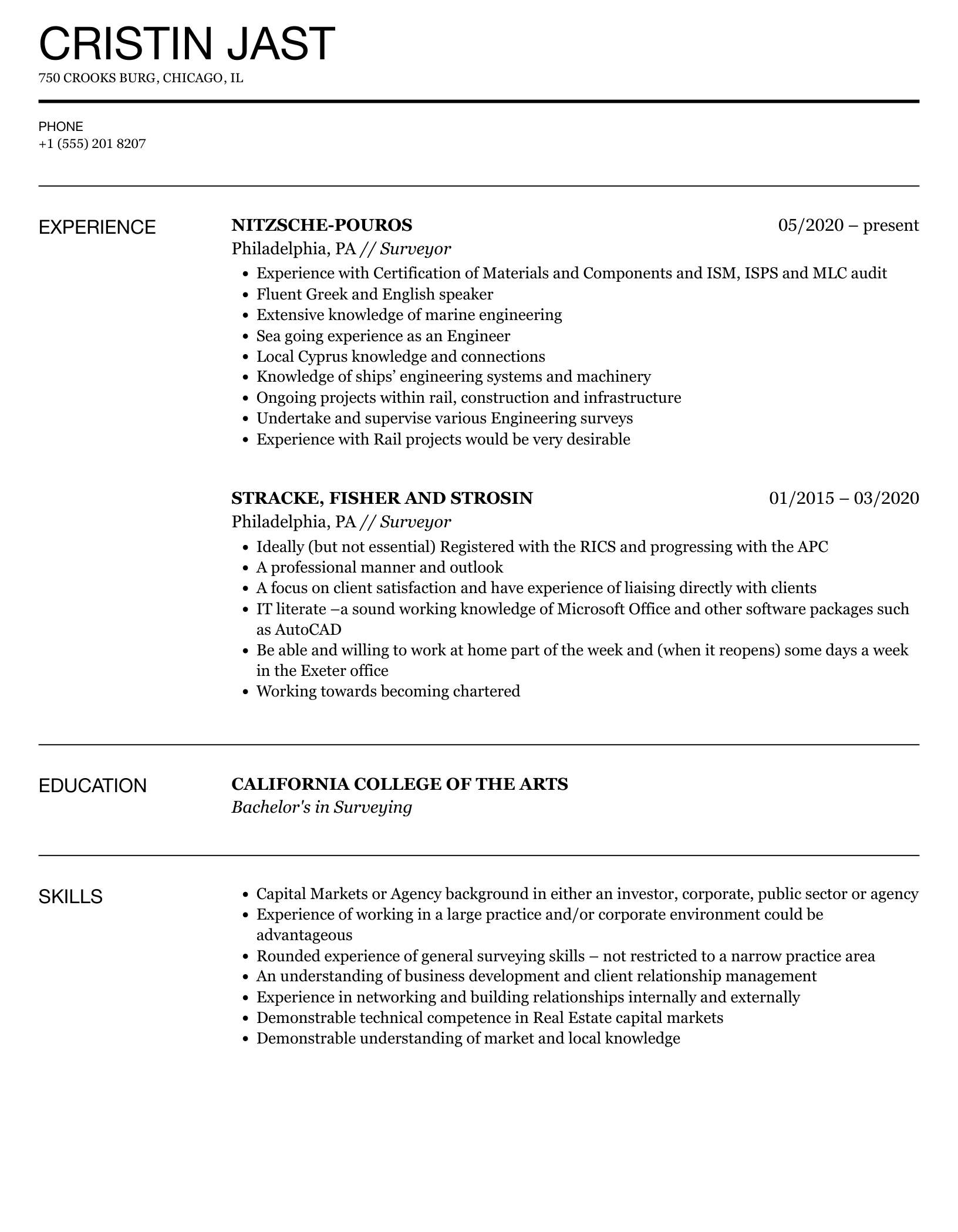 Surveyor Resume Sample